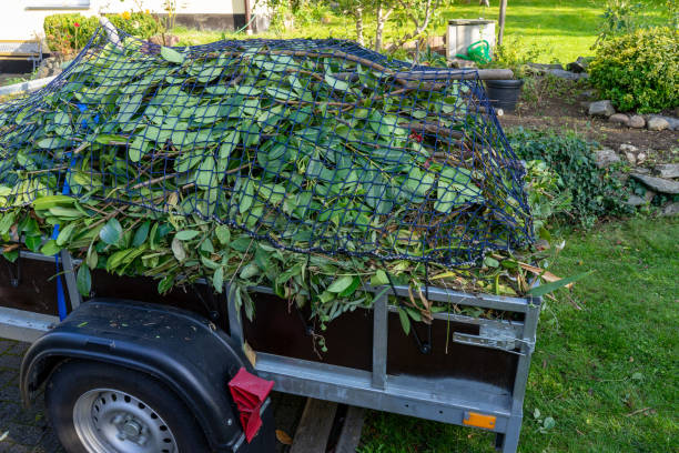 Best Residential Junk Removal  in Blue Earth, MN